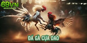 Đá Gà Cựa Dao - Đặt Cược Trận Đấu Kịch Tính, Nhận Thưởng Lớn