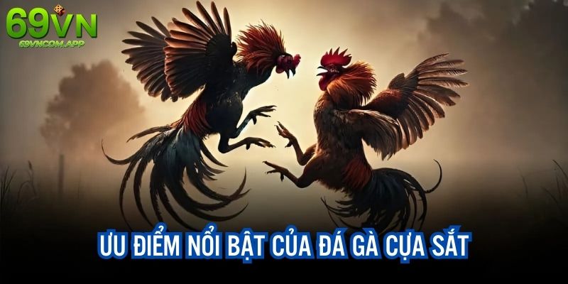 Đánh giá ưu điểm nổi bật của đá gà cựa sắt trên web 69VN