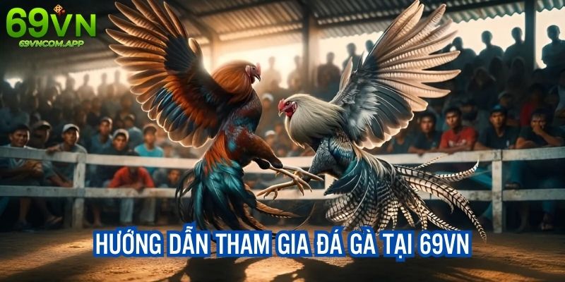 Hướng dẫn thao tác tham gia sảnh cược nhà cái